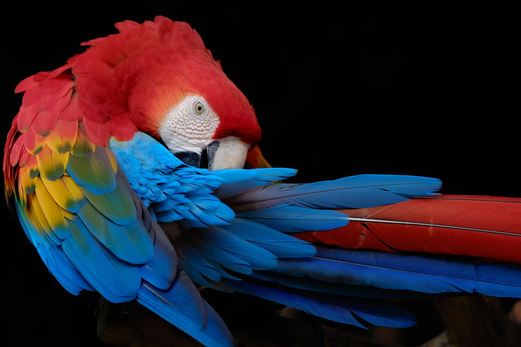 Aviario Nacional + Barú en Cartagena