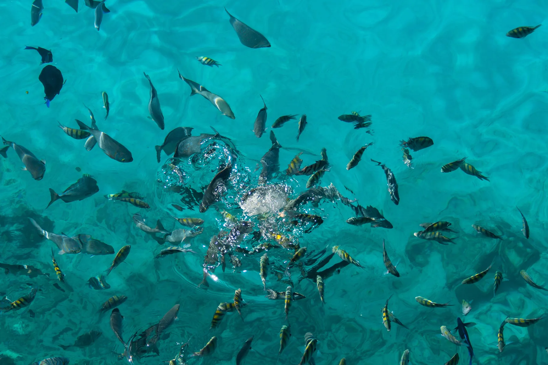 San Andrés — El mar en siete colores, a tu manera.